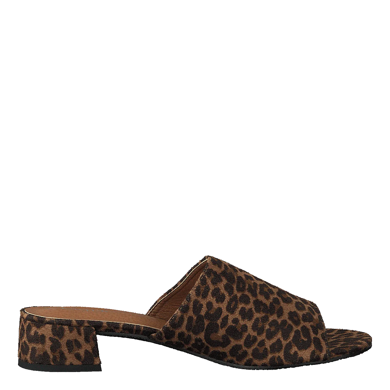 97-00704 Brown/multi