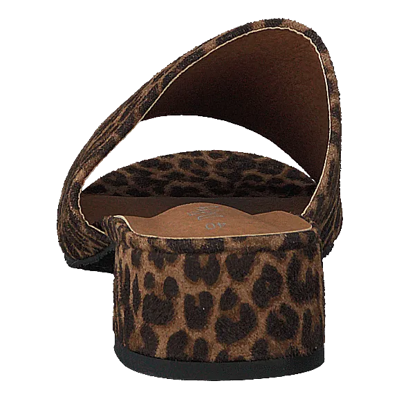 97-00704 Brown/multi