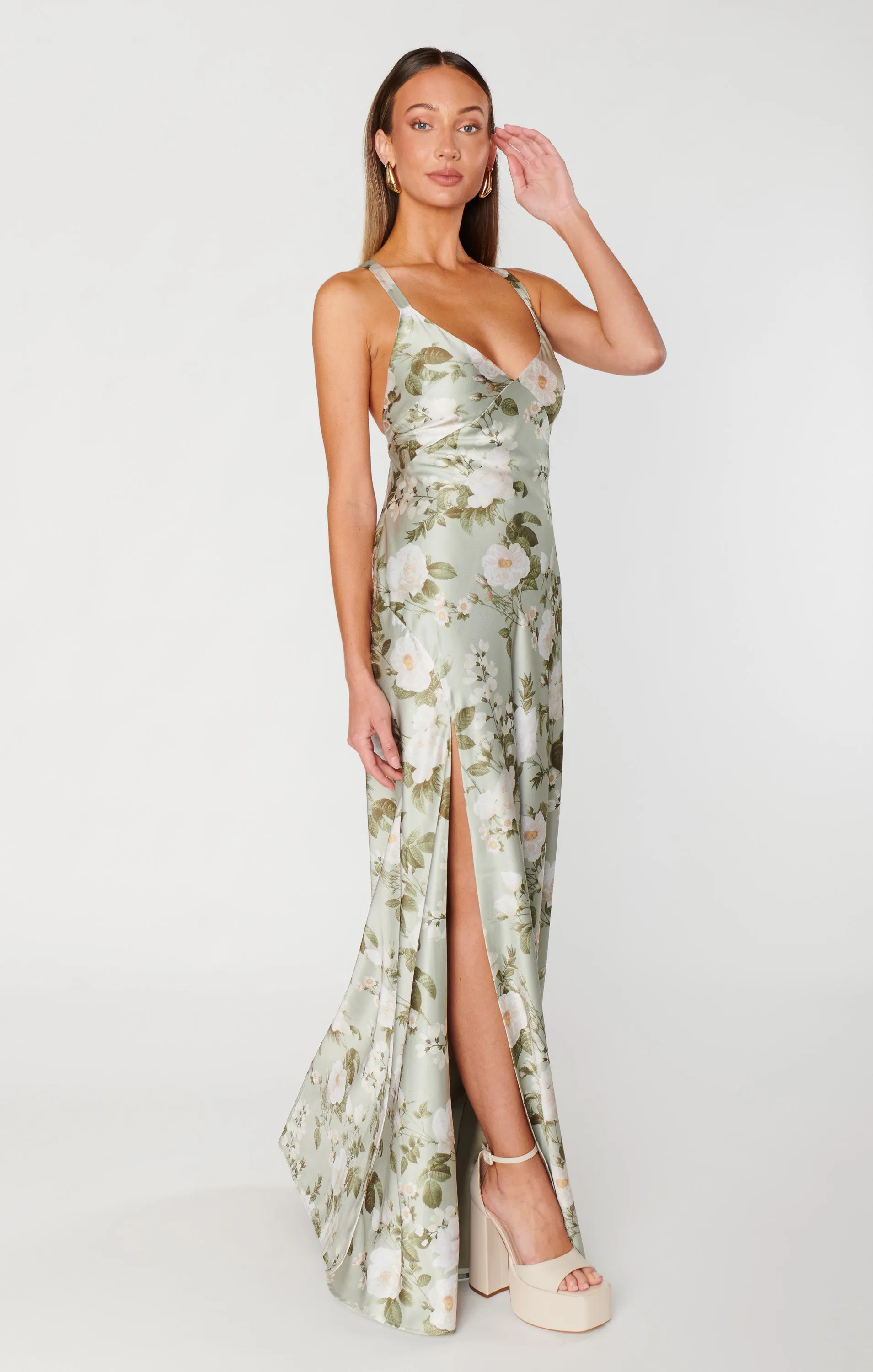 Anderson Maxi Dress ~ Secret Garden