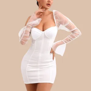 Arletta Sexy Mesh Puff Sleeve Dress