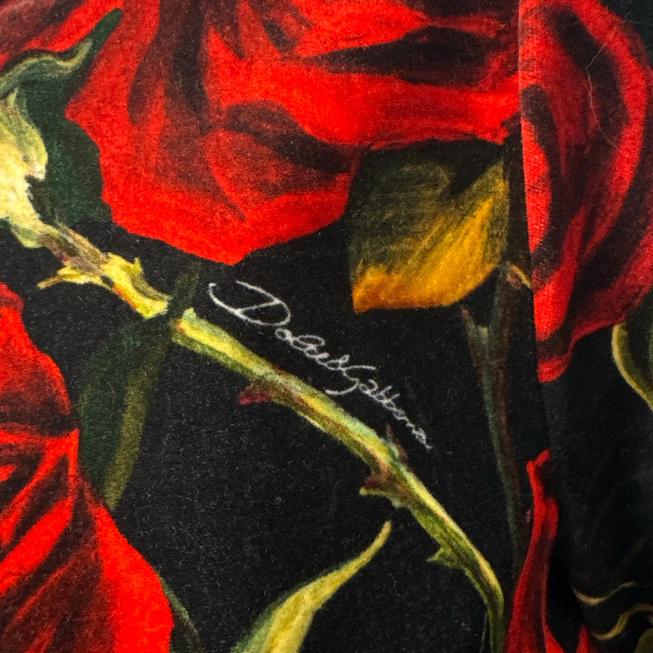 Dolce&Gabbana Black and Red Floral Print Velvet Dress