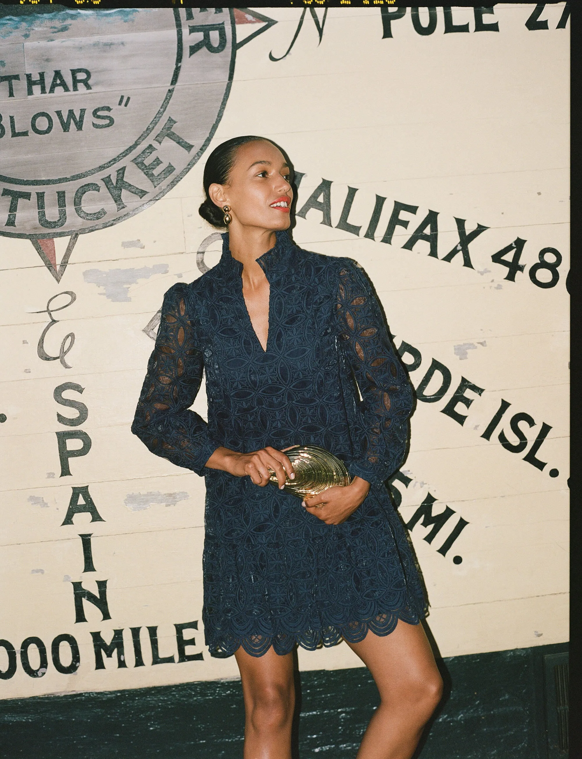 Navy Organza Palmerston Dress