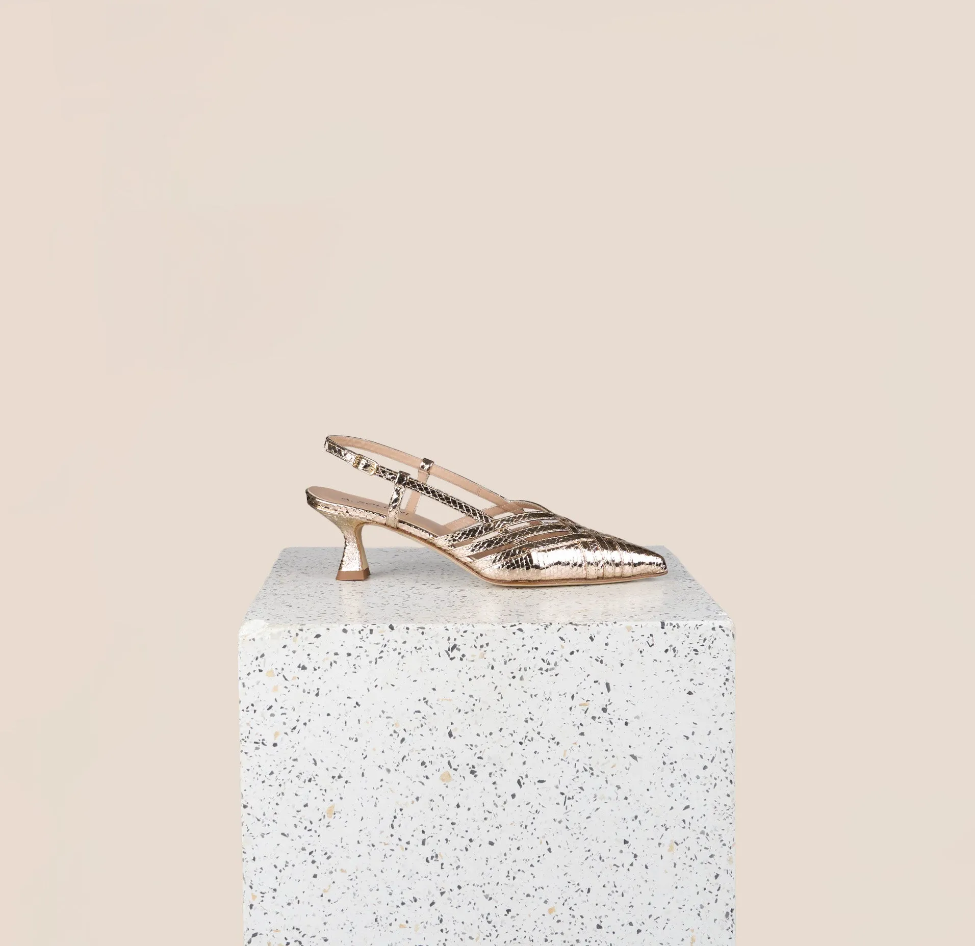 Novara - Gold Snake