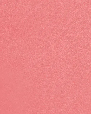 Ruffle Sleeve Top | Coral