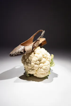 SALMA BROWN SNAKE - Pointed Leather Slingback Pumps
