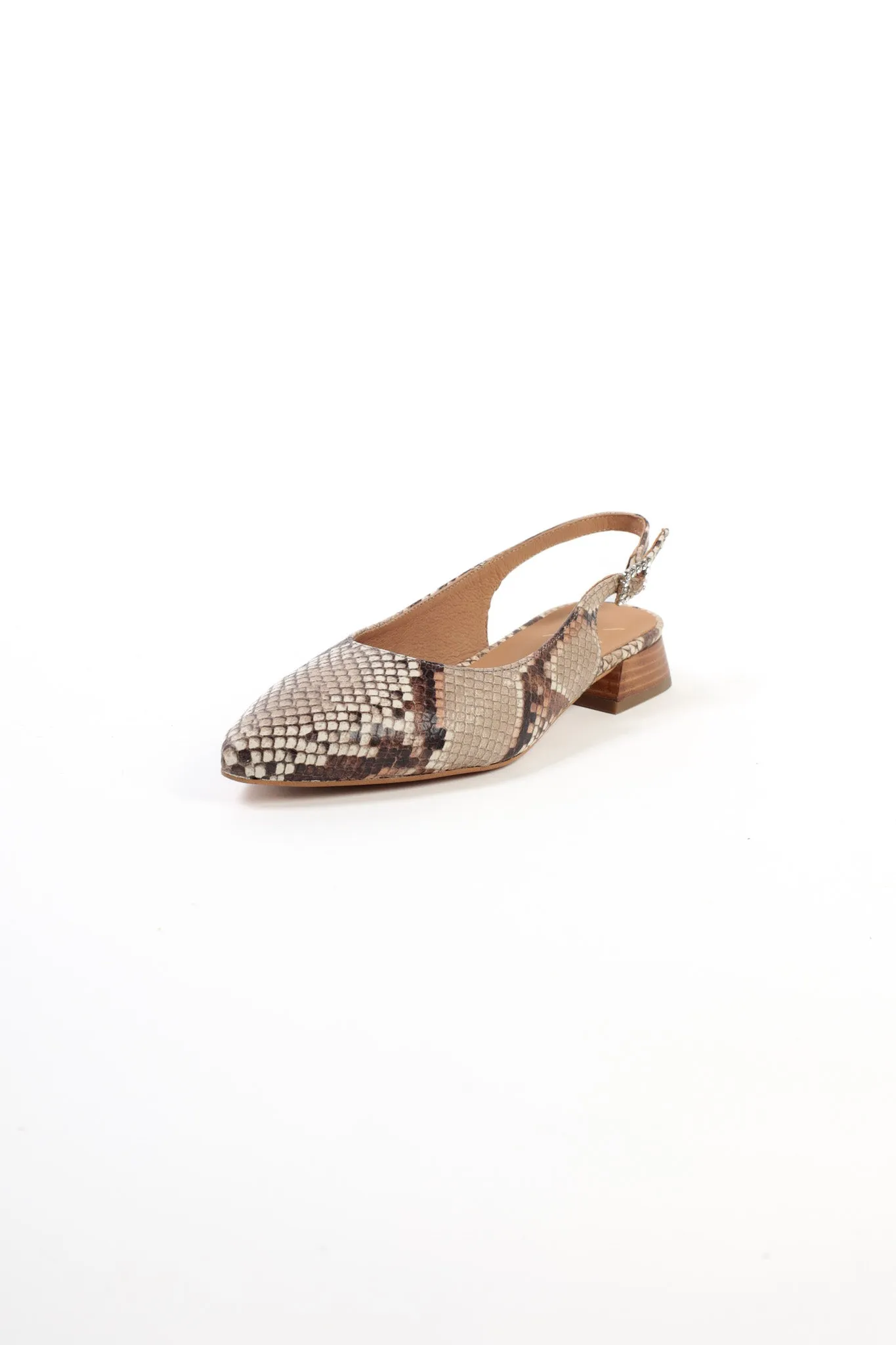 SALMA BROWN SNAKE - Pointed Leather Slingback Pumps