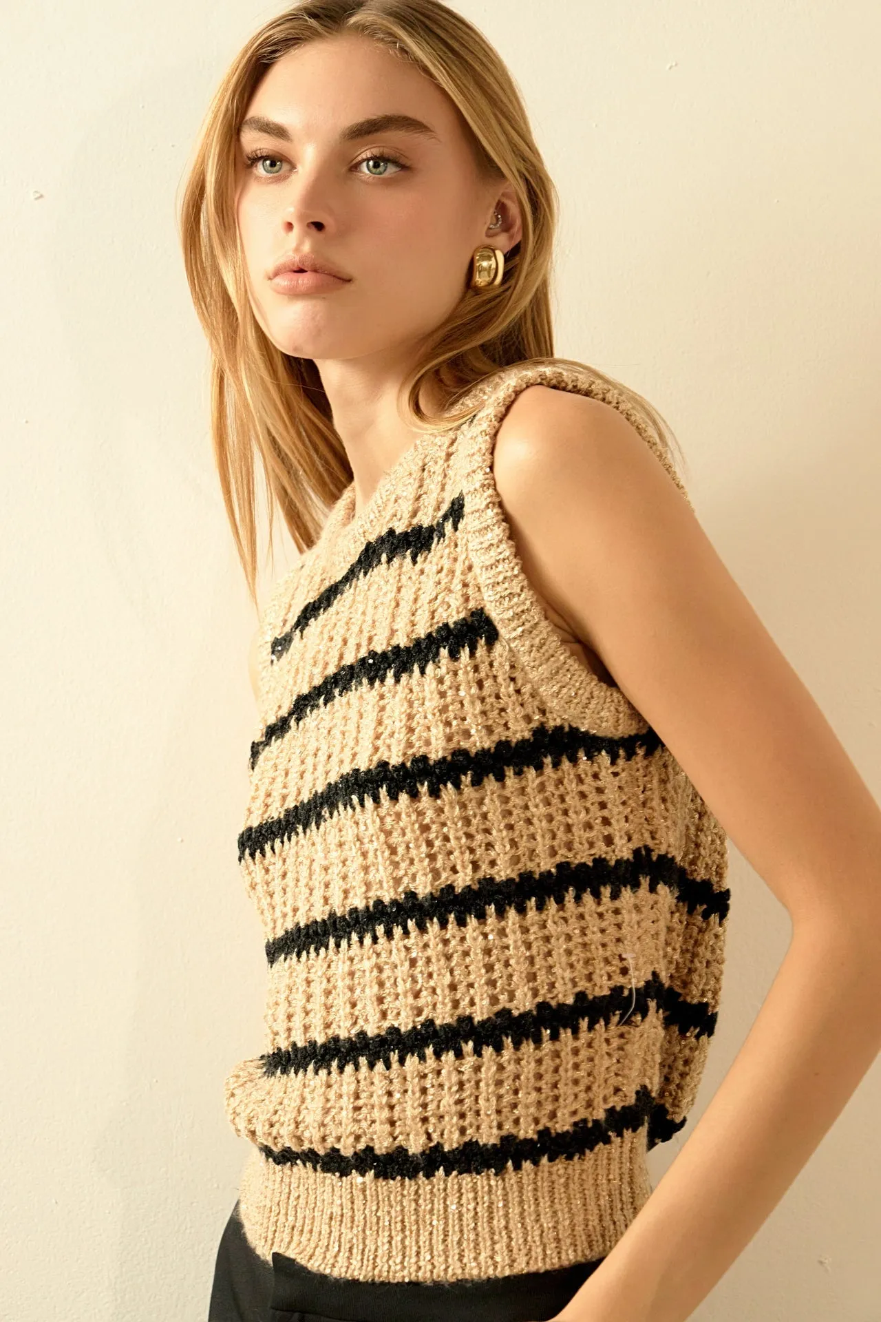 Sequin Stripe Knit Top