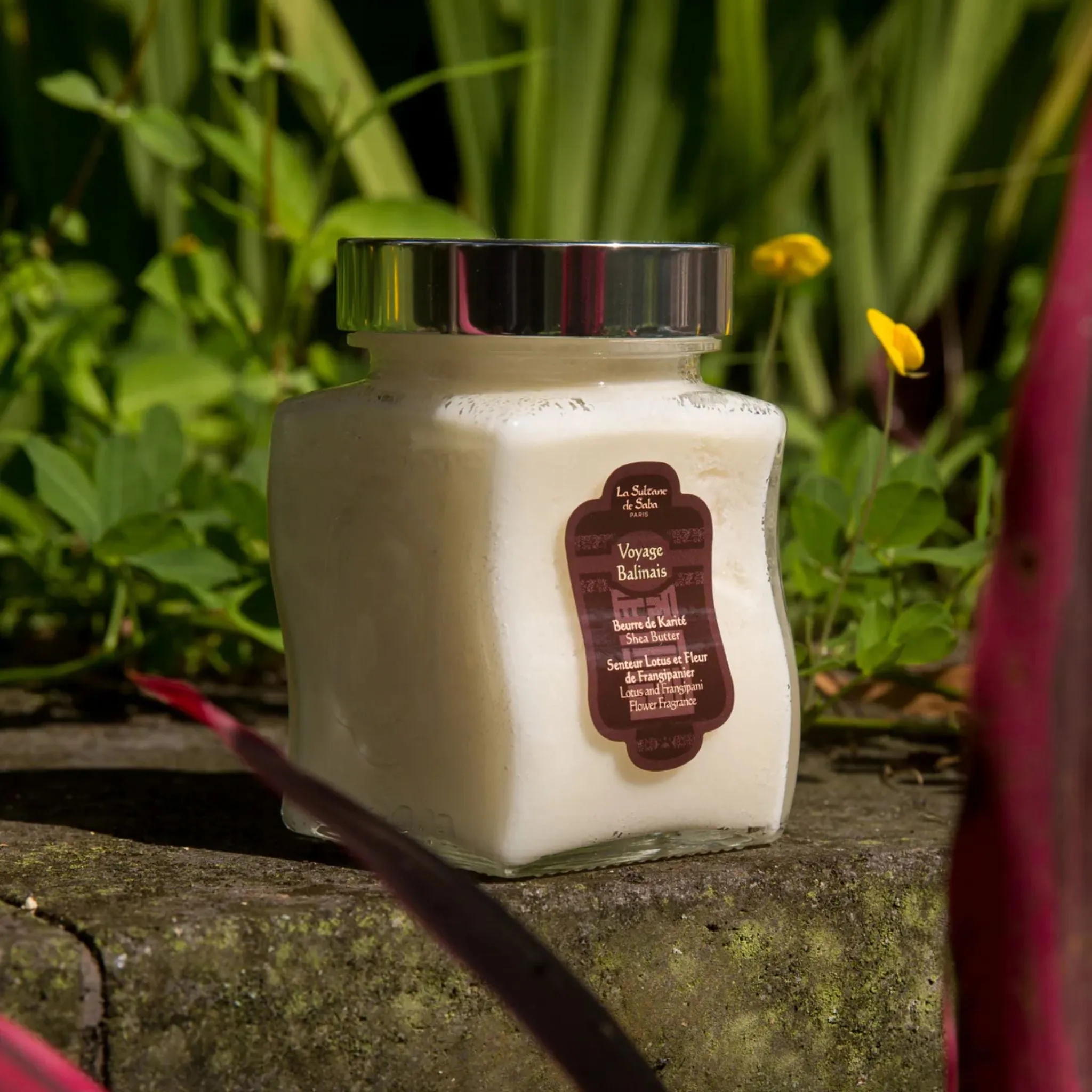 Shea Butter Lotus Frangipani Flower