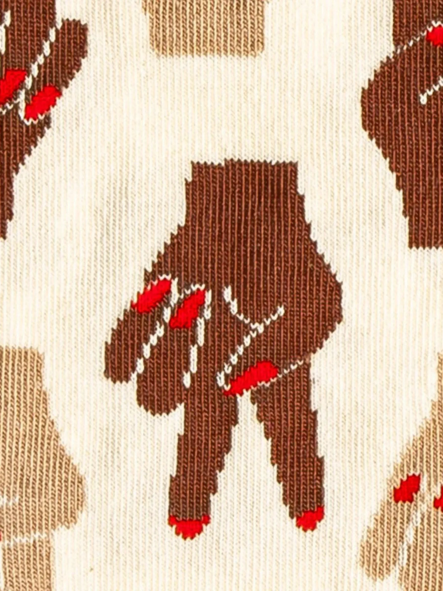 Socks Empower in Organic Cotton | Dillysocks