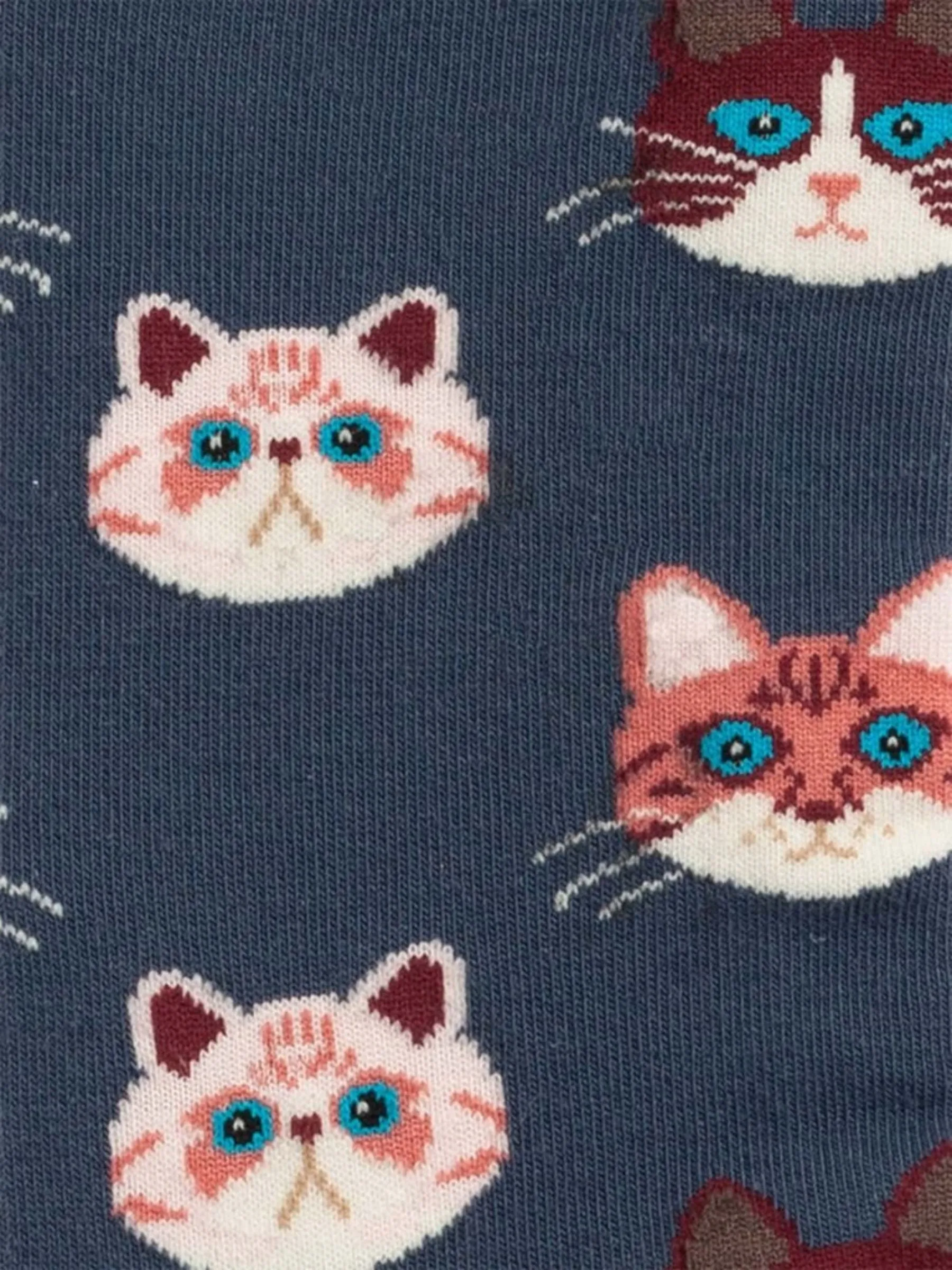 Unisex Socks Sky Kitten | Dillysocks