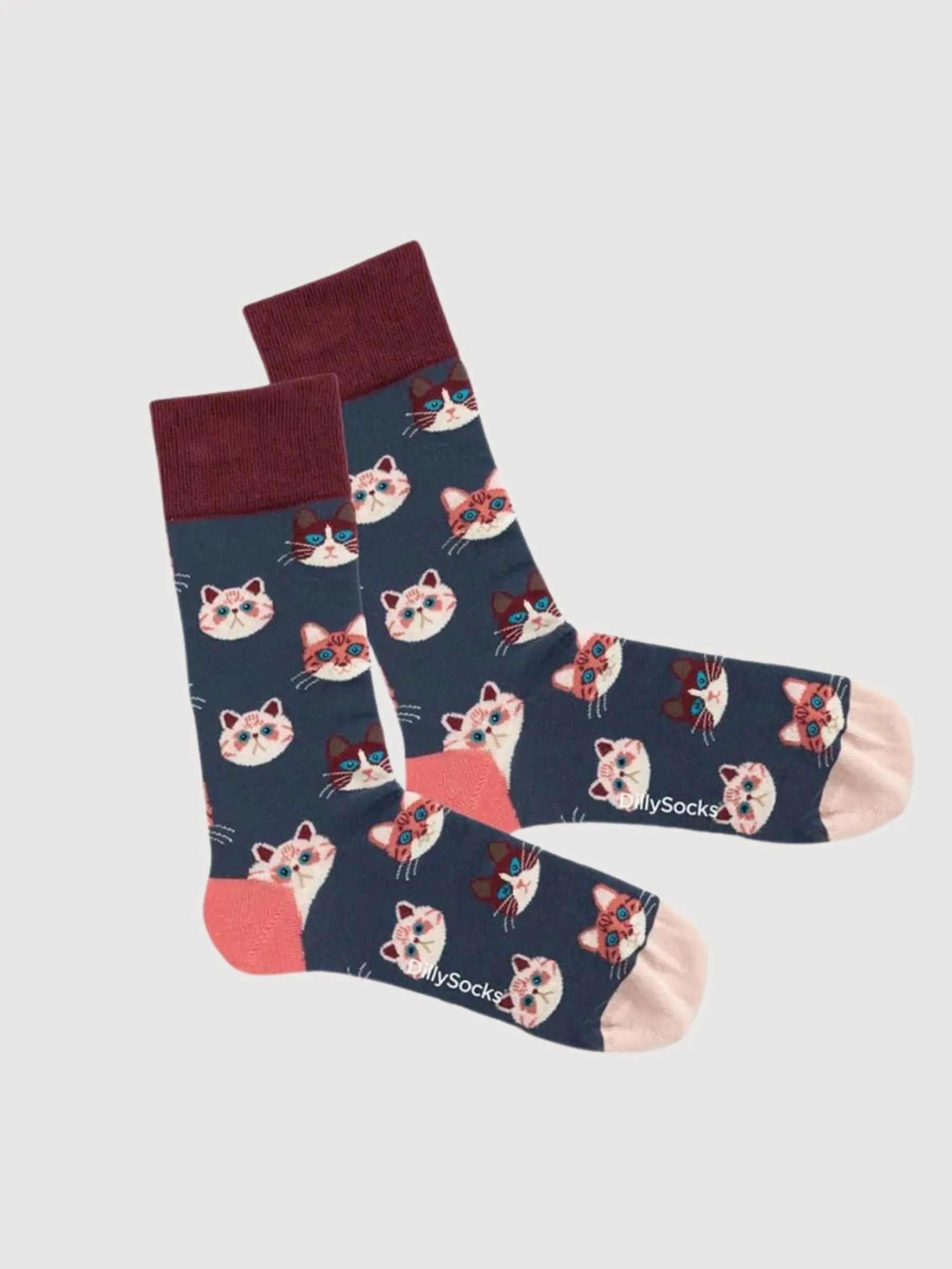 Unisex Socks Sky Kitten | Dillysocks